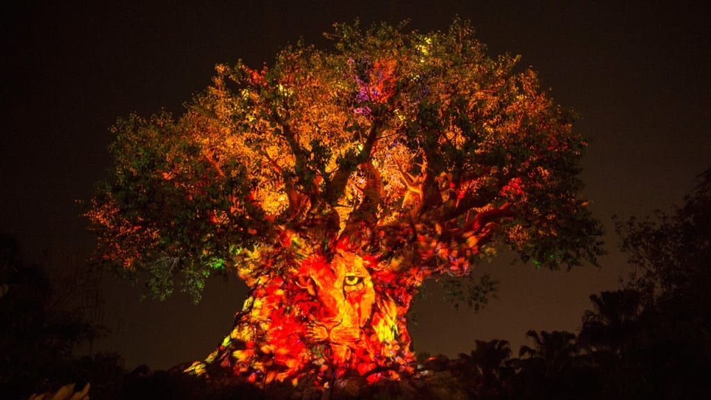 Tree of Life Awakenings Expanded Viewing Areas