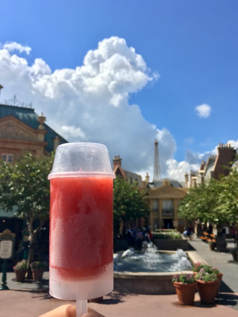 France Review: 2016 Epcot Food and Wine Festival