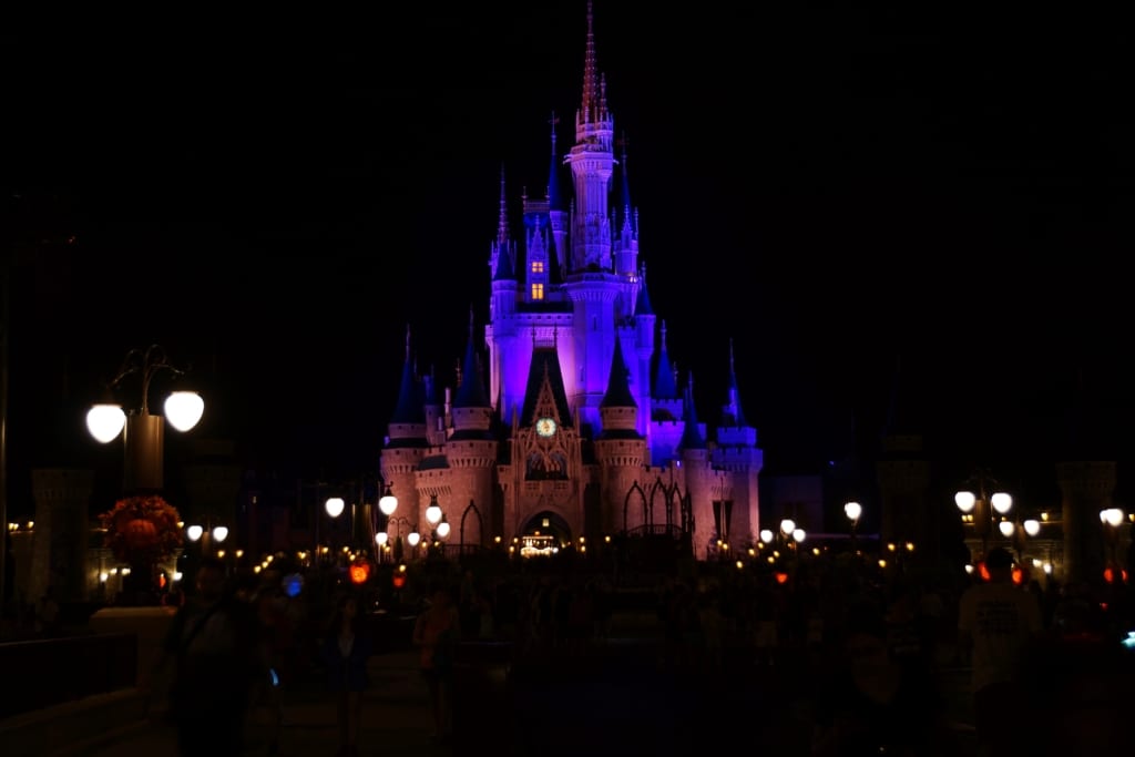 magic kingdom castle