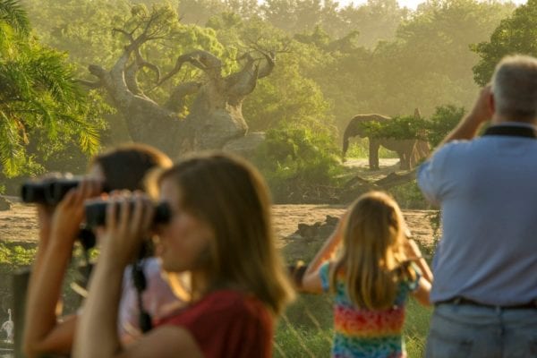 New Elephant Tour in Disney's Animal Kingdom