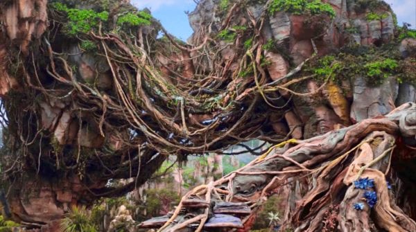 Pandora The World of Avatar B-Roll