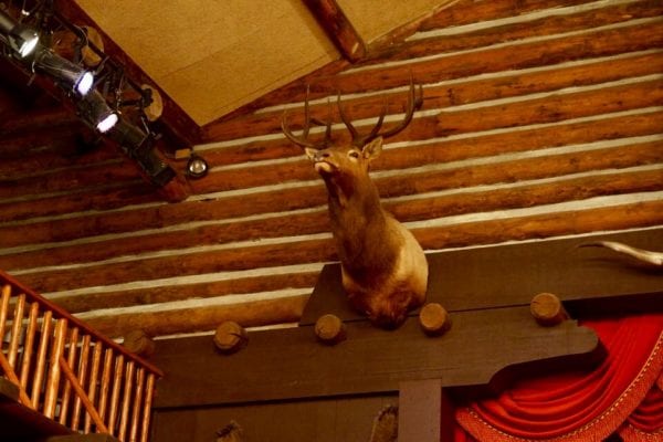 Hoop Dee Doo Musical Revue Deer decorations