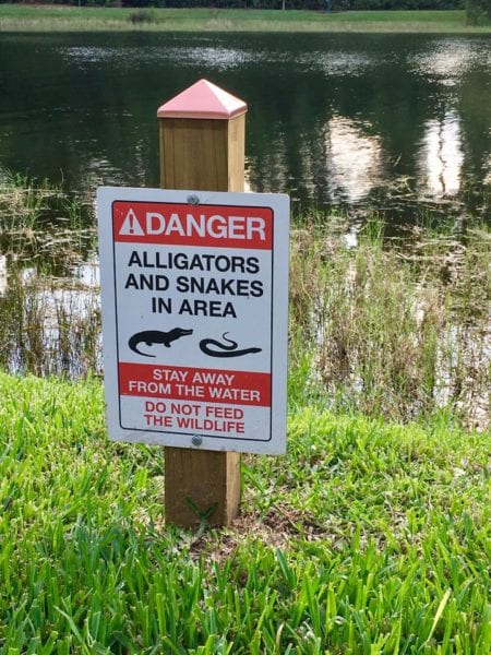 Danger Alligators Sign