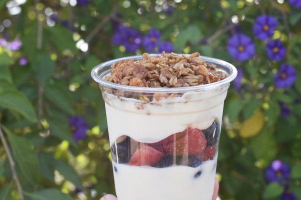 Disney Parks Sweet Treats July Fruit and Yogurt Parfait