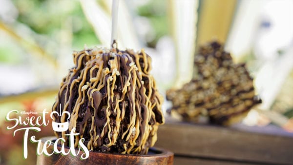 Disney Parks Sweet Treats July S'mores Candied Apples