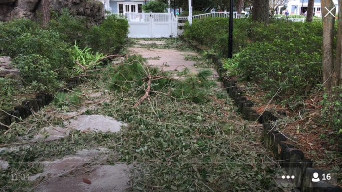Hurricane Irma Damage at Walt Disney World