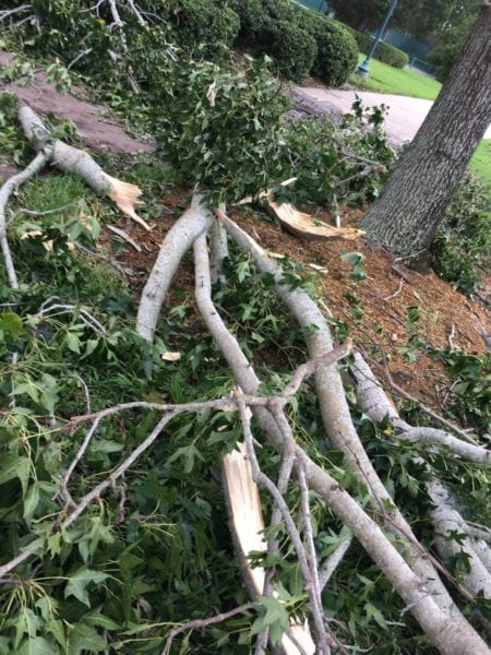 Hurricane Irma Damage at Walt Disney World