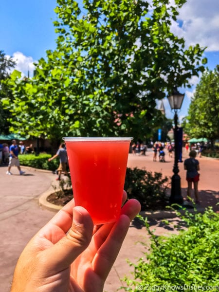 Pomegranate Beer Review 2017 Epcot Food and Wine Festival Schöfferhofer Hefeweizen Pomegranate Beer small glass