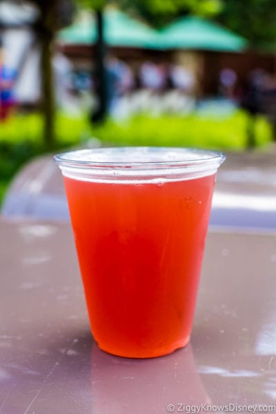 Pomegranate Beer Review 2017 Epcot Food and Wine Festival on a garbage can