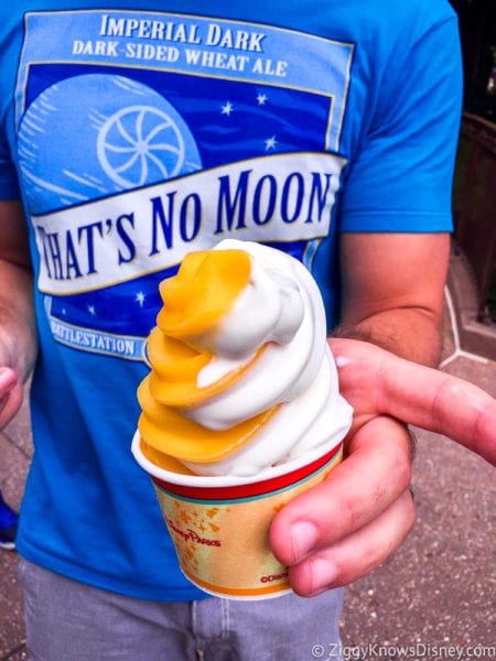 Citrus Swirl Gone Magic Kingdom