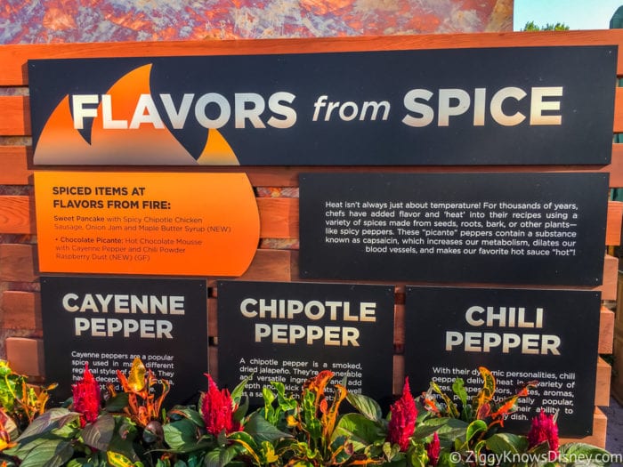 Flavors from Fire Review 2017 Epcot Food and Wine Festival flavors from spice