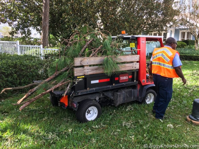 Hurricane Irma in Walt Disney World hurricane irma cleanup