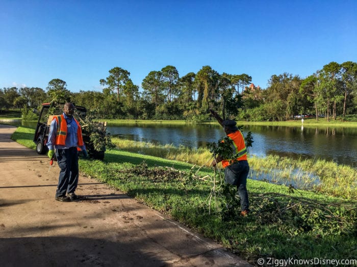 Hurricane Irma in Walt Disney World hurricane clean up