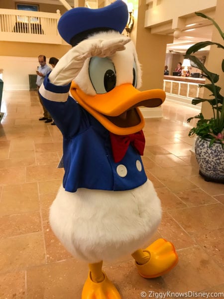 Hurricane Irma in Walt Disney World beach club Donald Duck