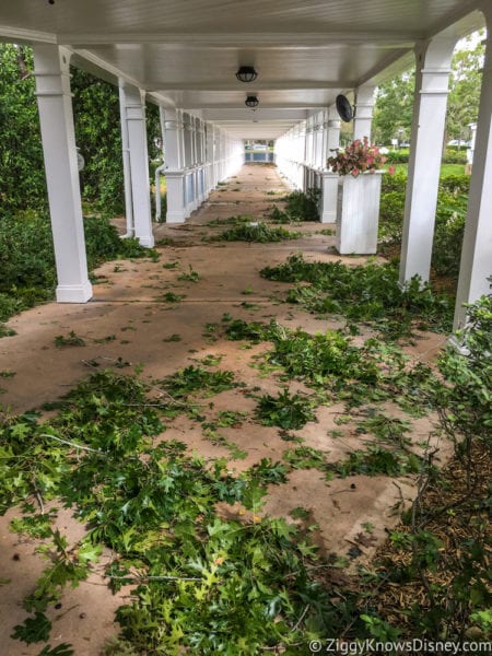 Hurricane Irma in Walt Disney World beach club pathway