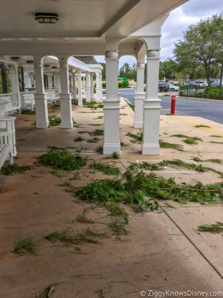 Hurricane Irma in Walt Disney World beach club bus stop