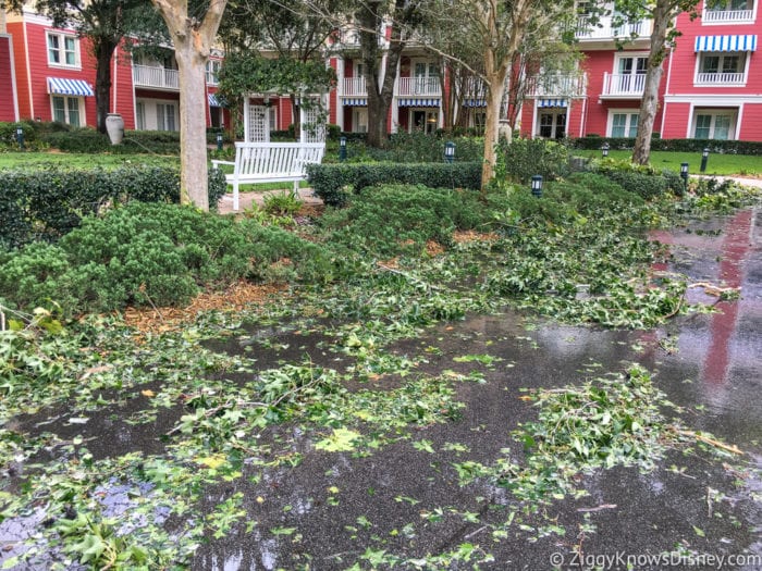Hurricane Irma in Walt Disney World boardwalk branches