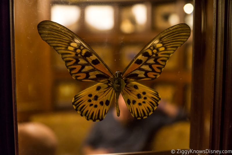 Skipper Canteen Review butterfly 2