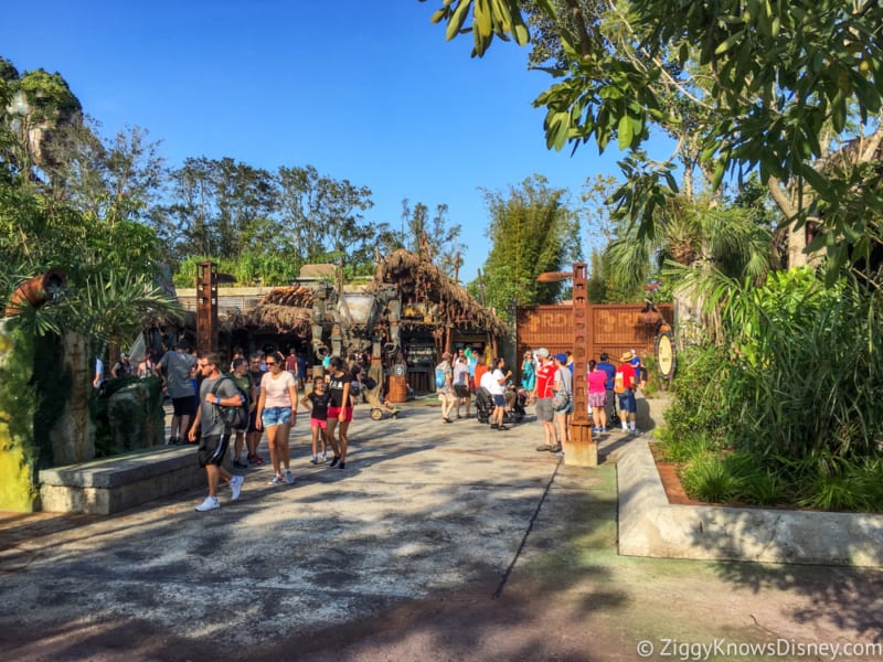 Satu'li Canteen Review Pandora the world of Avatar