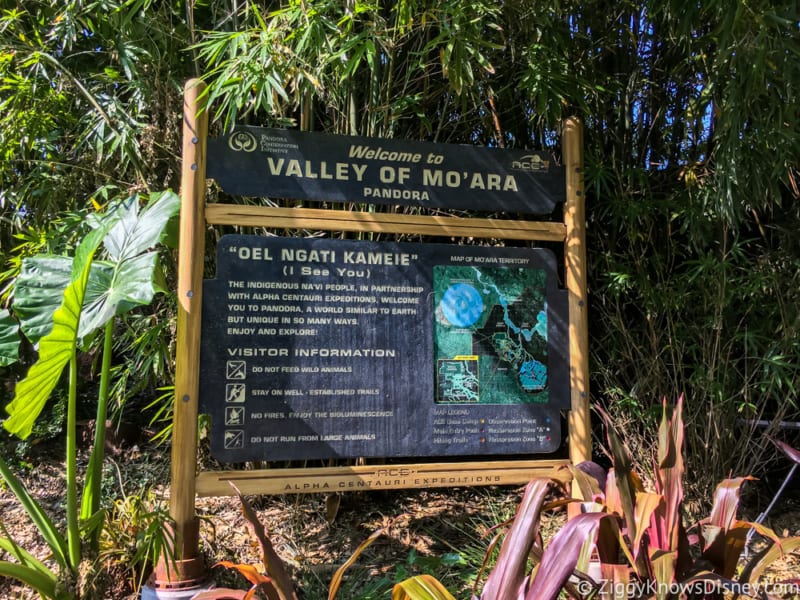 Satu'li Canteen Review Pandora Valley of Mo'ara sign