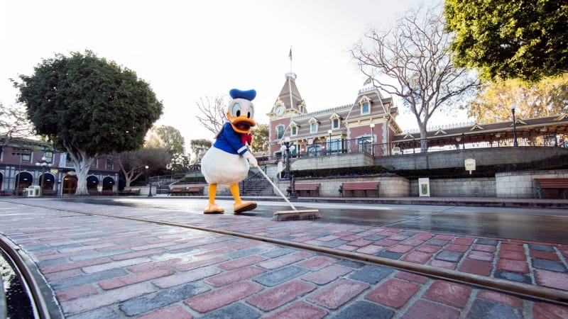 New Disneyland Brickwork Donald Duck