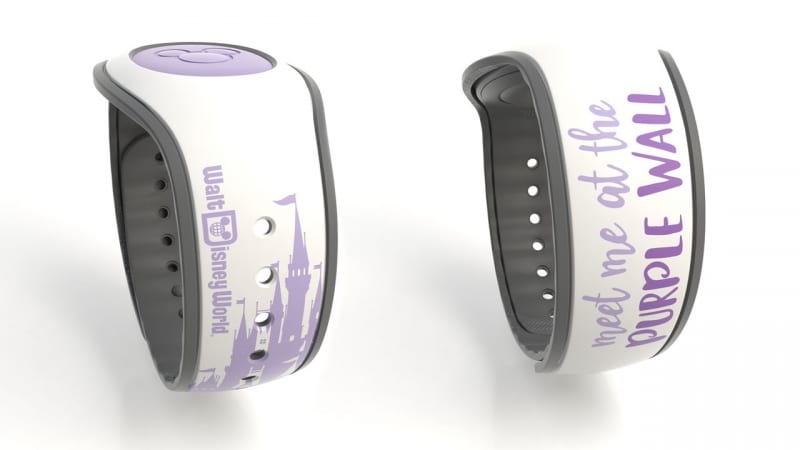 MagicBands March 2018 the wall