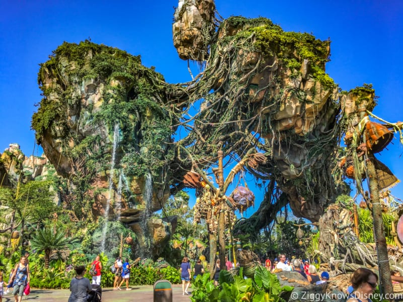 Pandora The World of Avatar Attractions Closed
