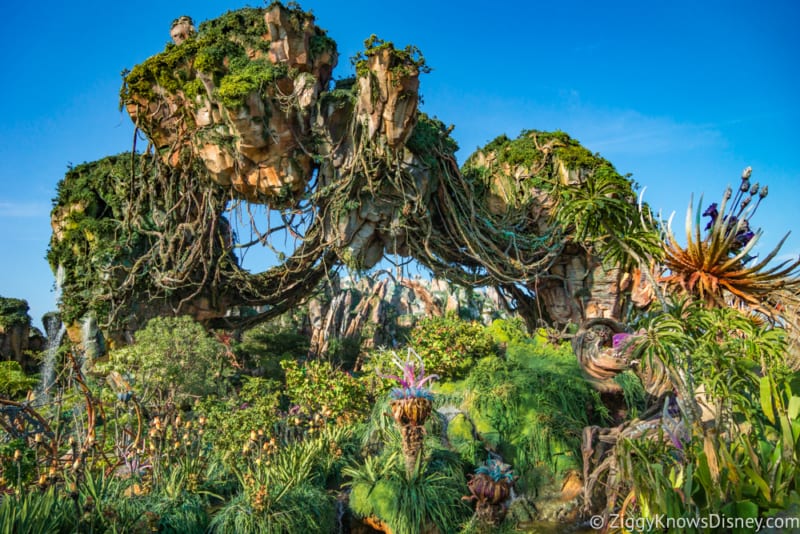 Animal Kingdom Now #2 Most Popular Park in Walt Disney World