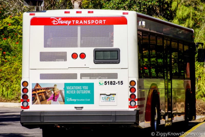 Walt Disney World Bus Arrival Times Now Available on My Disney Experience App