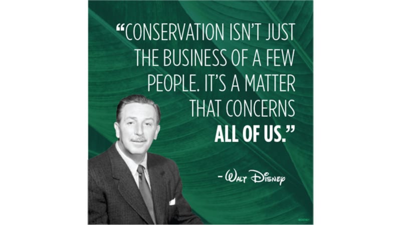 Disney Parks Eliminating Plastic Straws