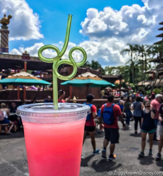 Disney Parks Eliminating Plastic Straws