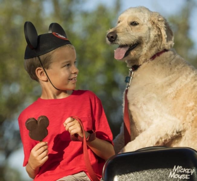 Walt Disney World to Permanently Allow Dogs in Some Hotels