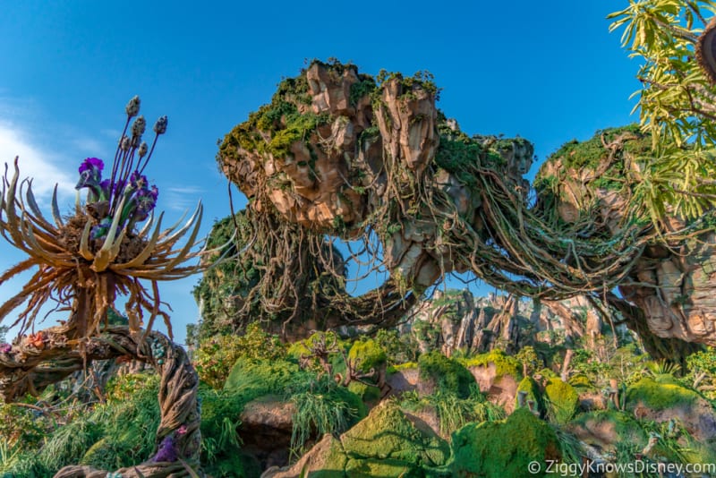 TIME Magazine Top 100 Destinations Pandora The World of Avatar