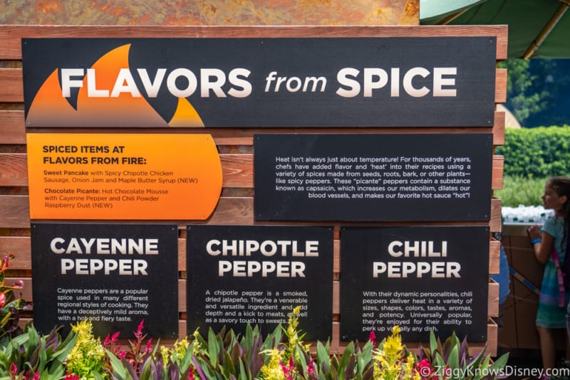 Flavors from Fire Review 2018 Epcot Food and Wine Festival sign